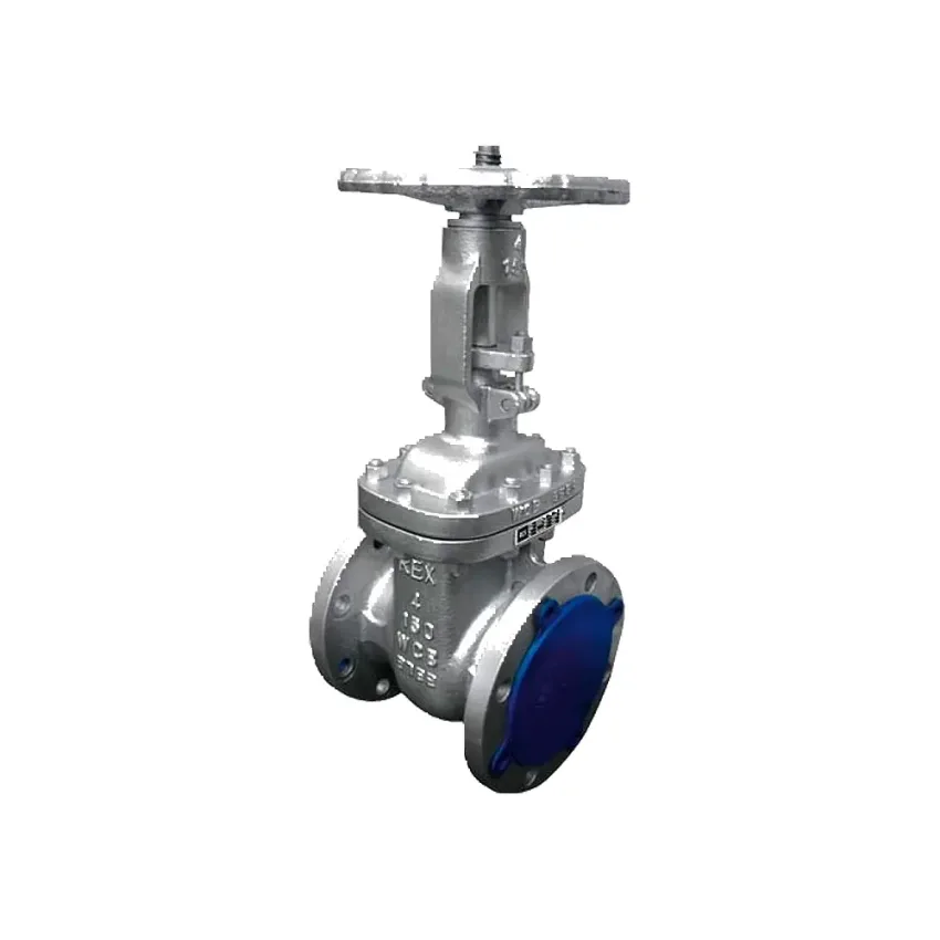 Válvula Compuerta Acero Al Carbono Astm A216 Wcb